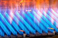 Fleur De Lis gas fired boilers